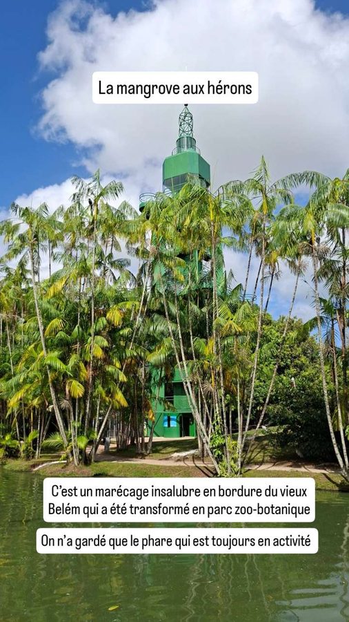 Phare, mangrove aux hérons, parc zoo-botanique de Belém, Brésil