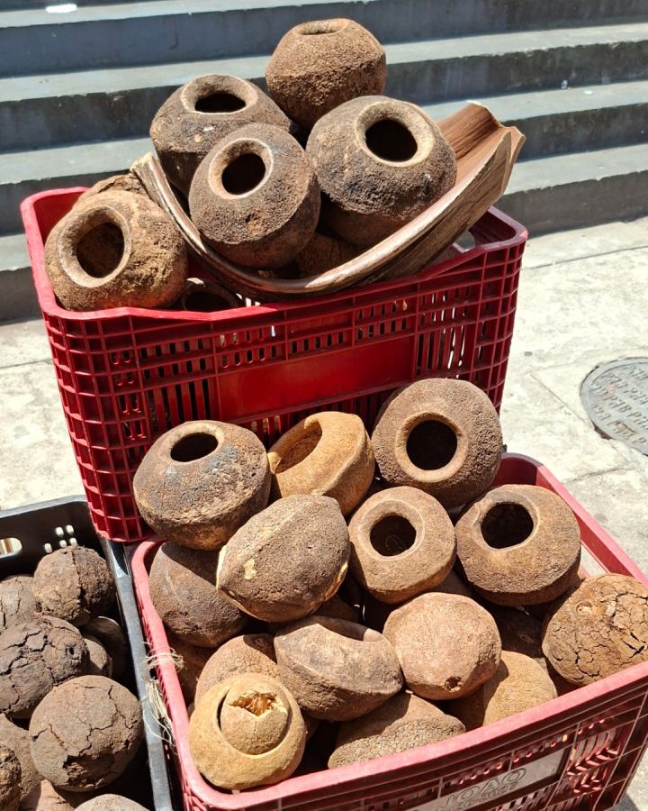 Maracas à plume et pots de singe